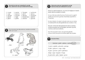 Le son « g »- Exercices de lecture – CE1 – Les fichiers des profs